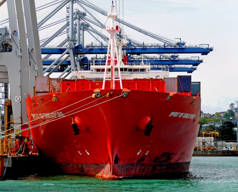 Spirit of Singapore.