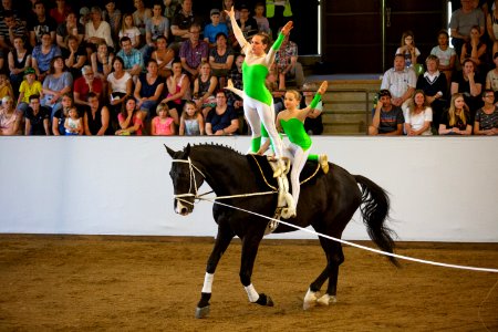 Volt OS192021-2