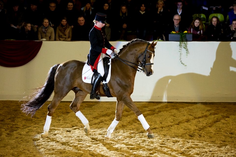 SirNymphenburg 20164130