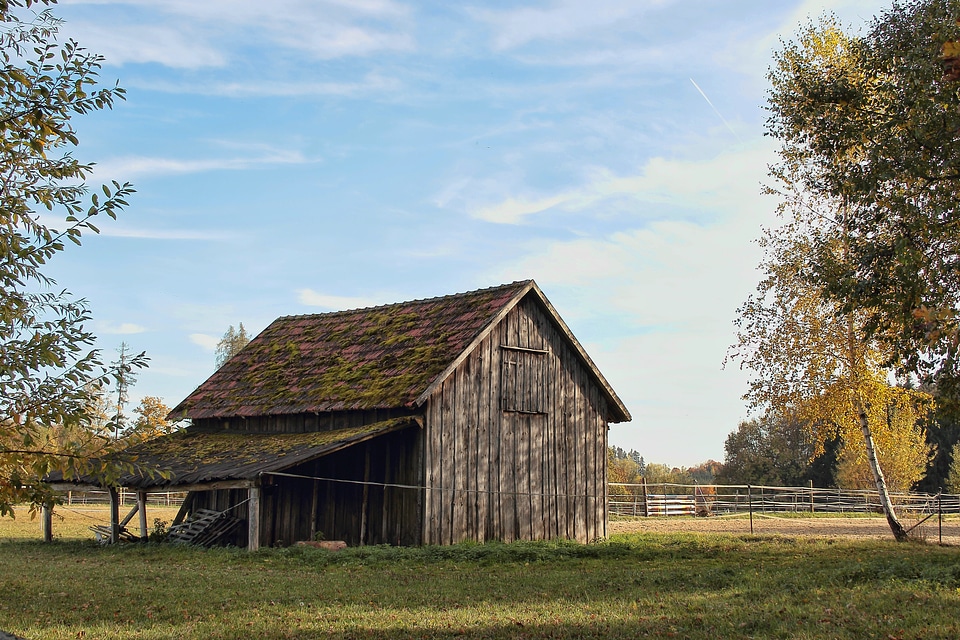 Fall foliage meadow sky