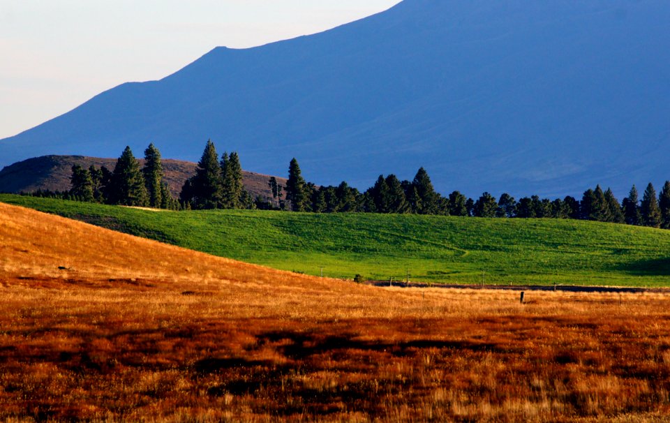Tekapo landscapes (14)