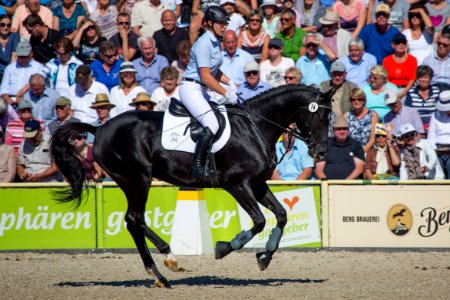 03Donauabend Lissy20162046
