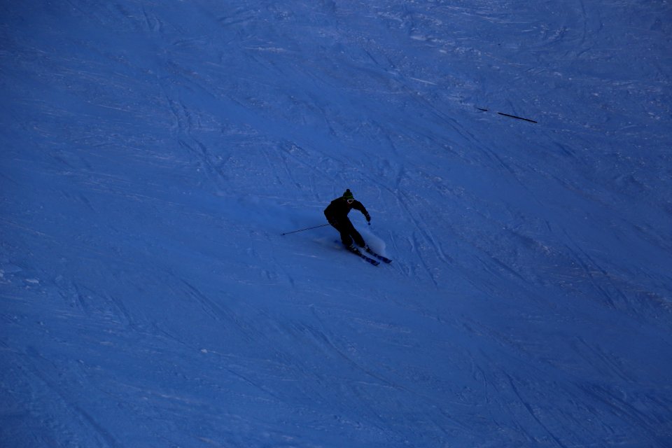 IMG 3669