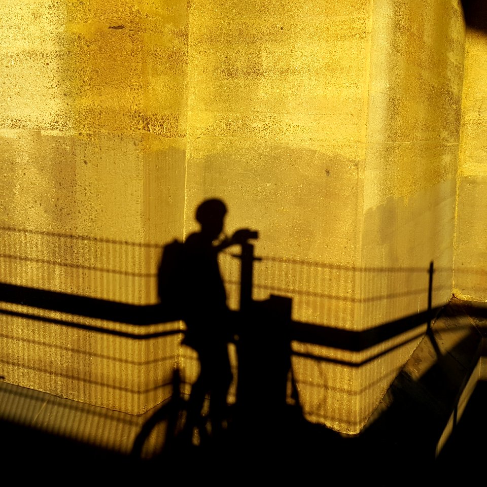 Selfie. Randall Island sunset