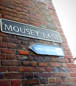 Mousey Lane photo