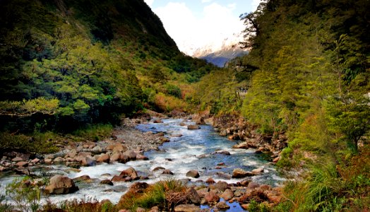 Hollyford River. Fiordland NZ photo