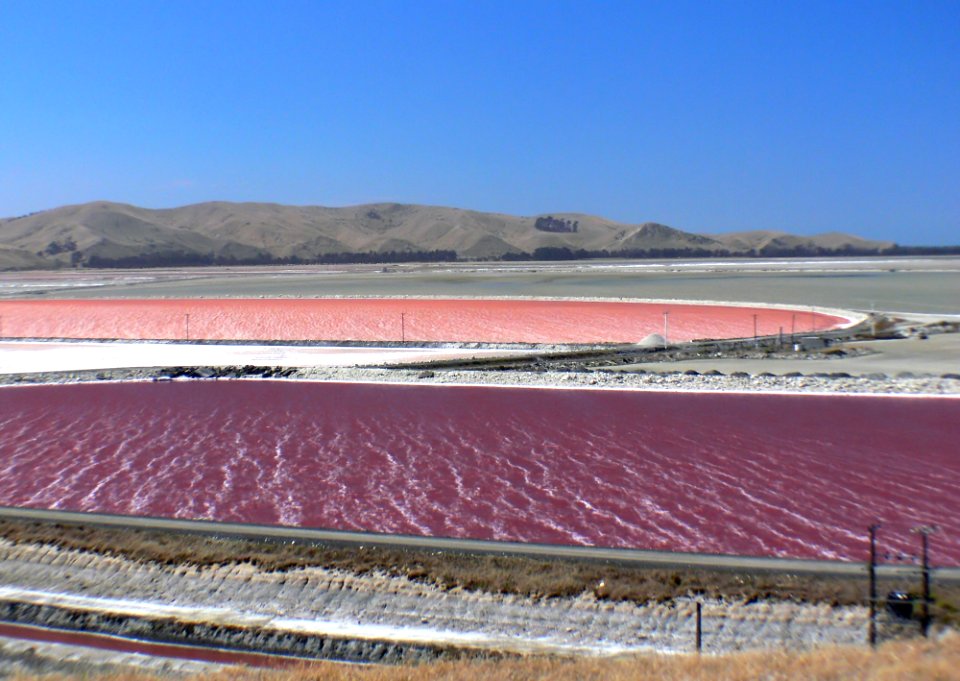 Solar salt ponds NZ.