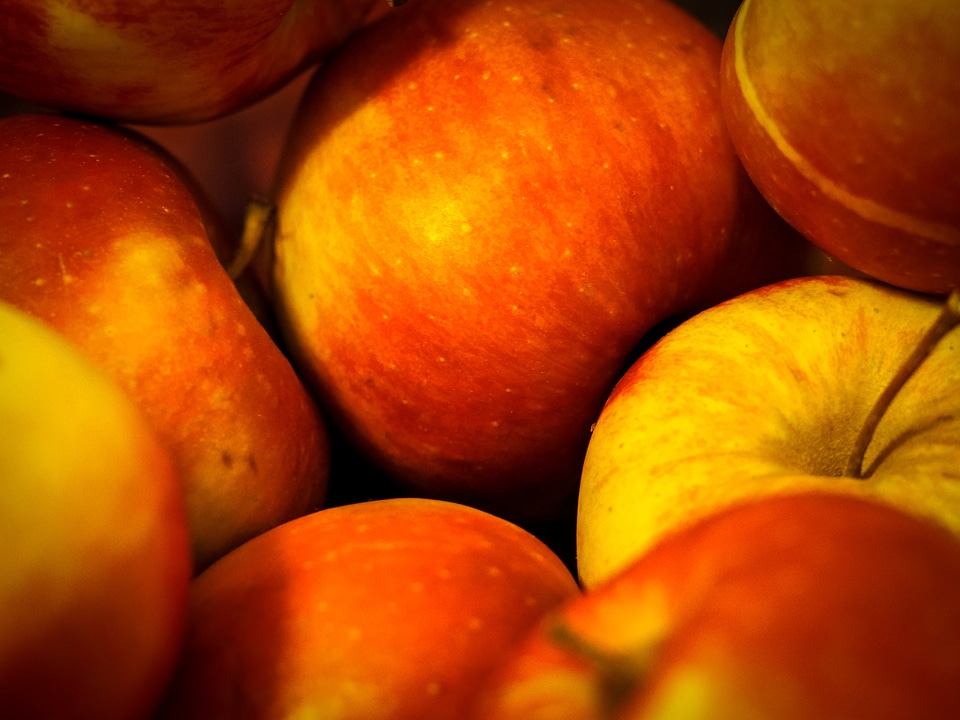 Fruit red apple tree