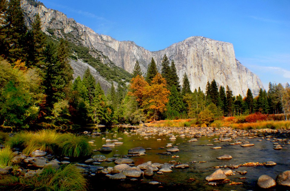 Yosemite National Park
