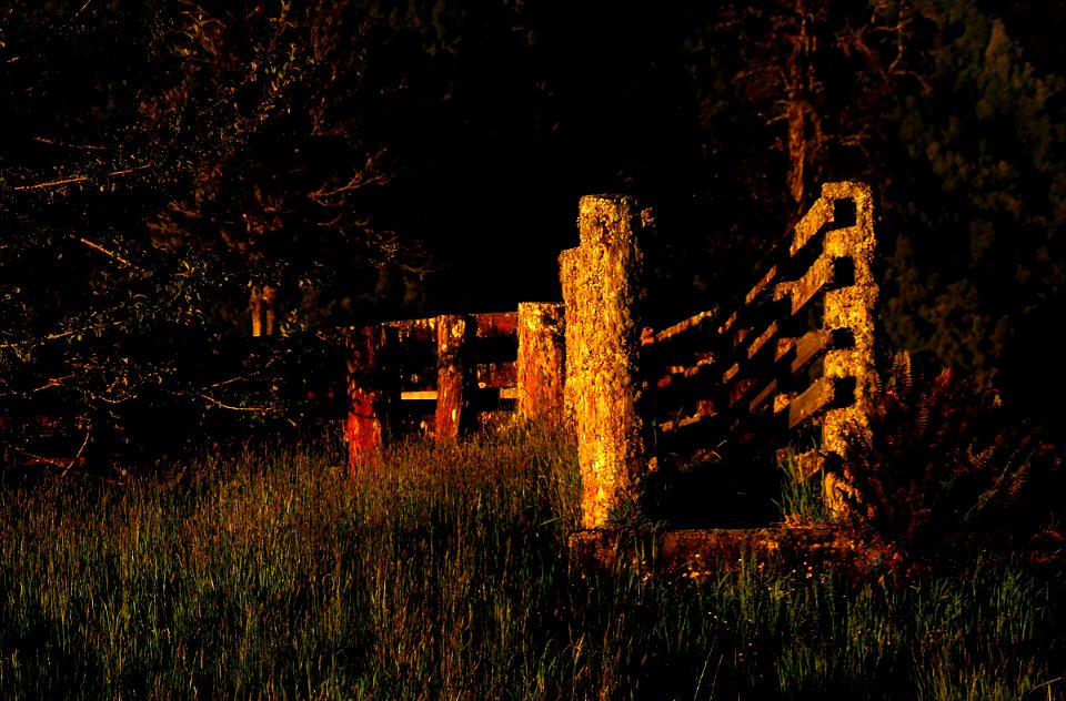 Down a country road.