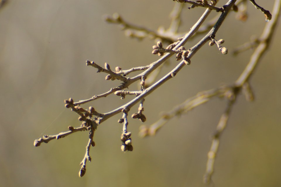 IMG 4189