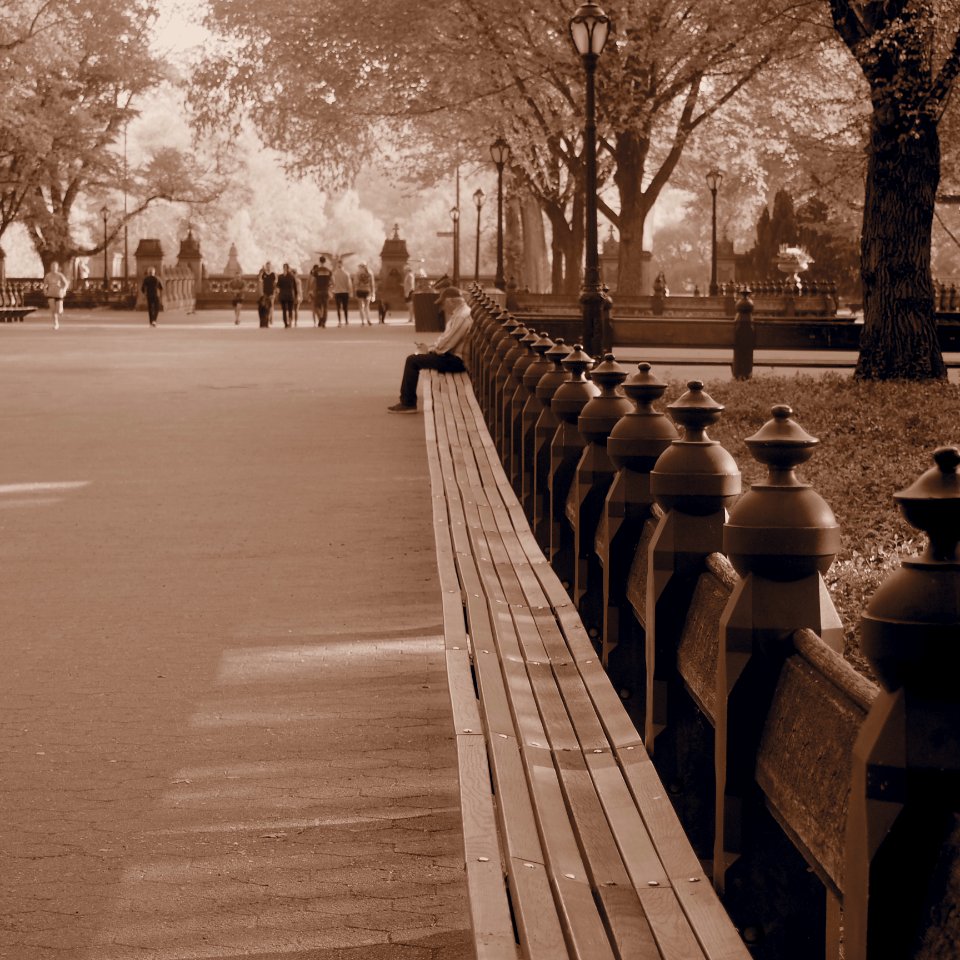 The Mall. Central Park Morning