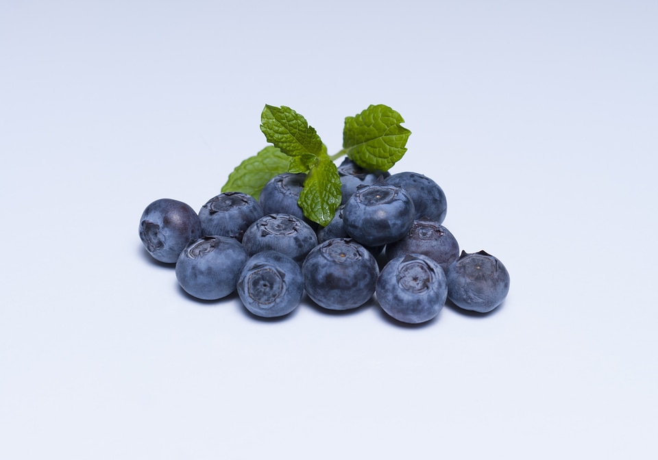 Food berry berries
