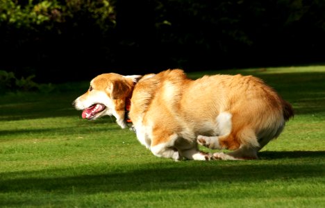 At full speed.