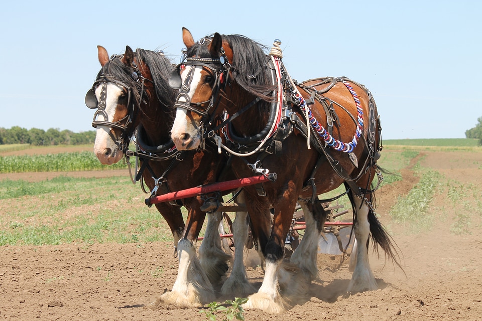 Agriculture team work