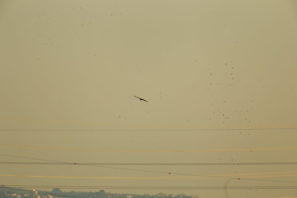 IMG 4064