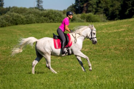 Dschesim 20166936