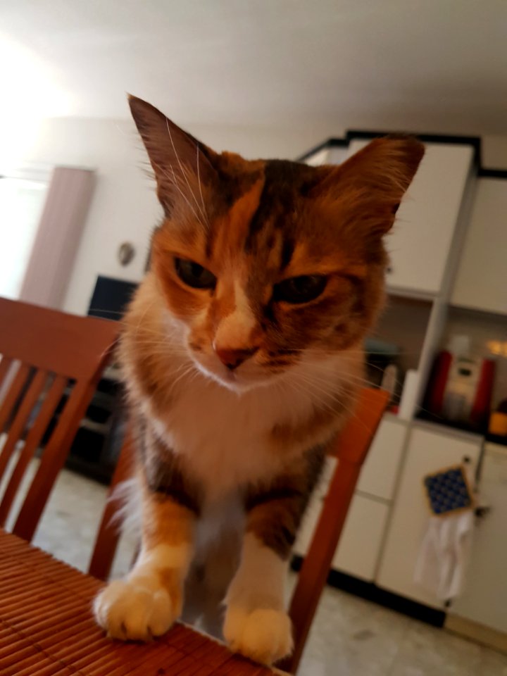 20180401 135144