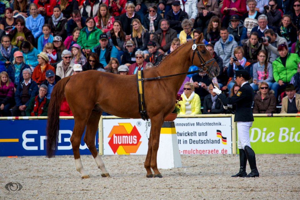 HP150315(c) Oliver-Seitz