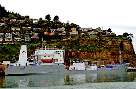 Westport cement carrier.