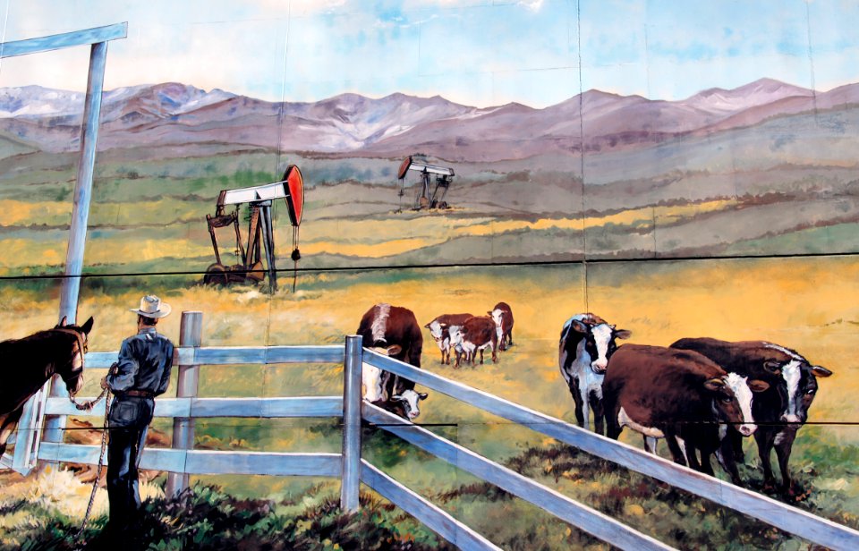 Alberta Landscape.
