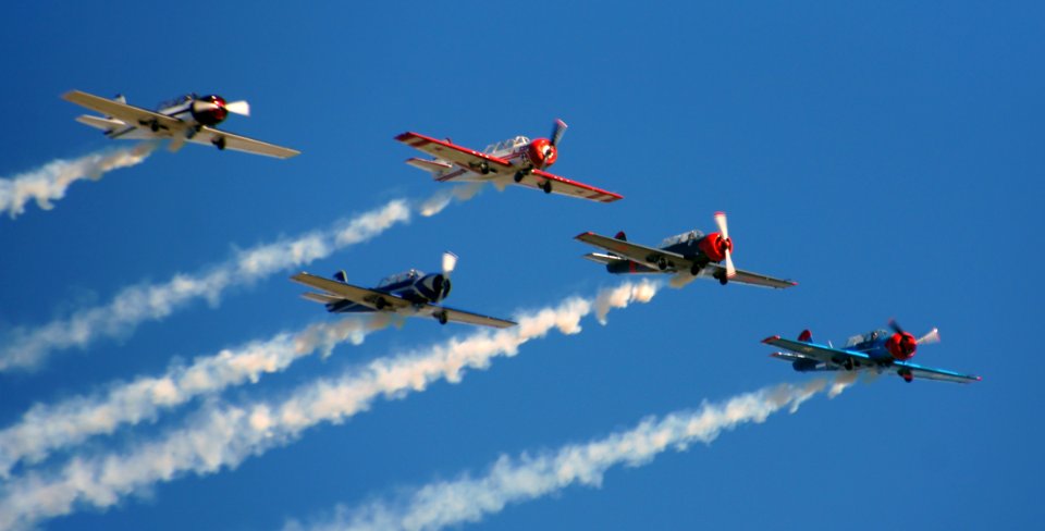 Yak 52s