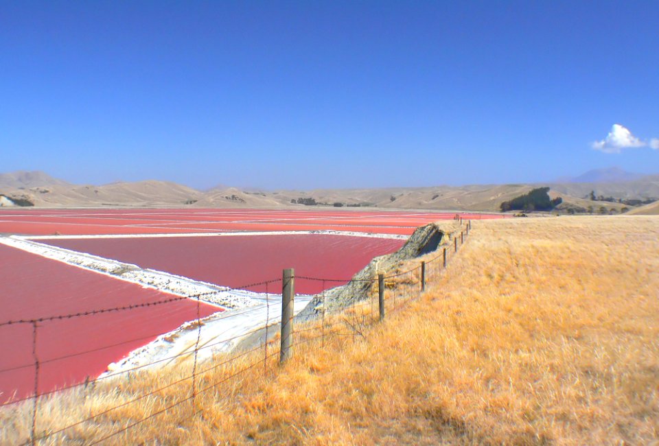 Solar salt. Grassmere NZ.