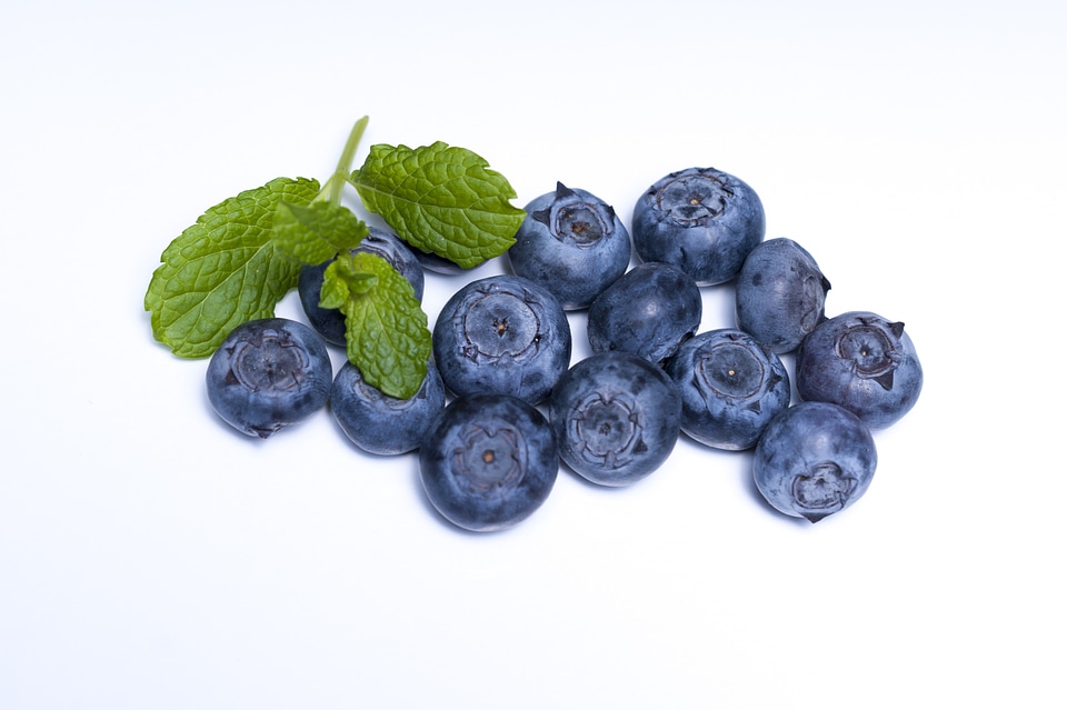 Food berry berries