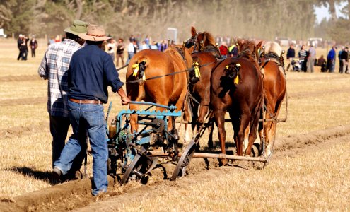 Guiding the Plough.