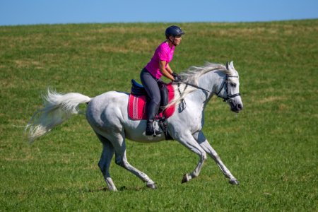 Dschesim 20166948