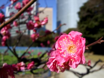 dscf3714