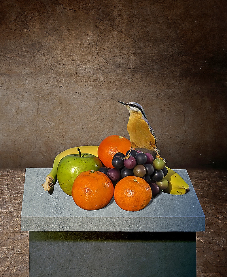 Still life fruits bird