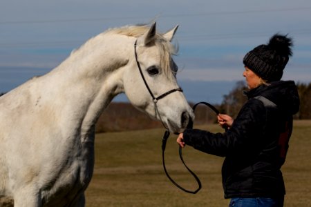 Shamao OS190126