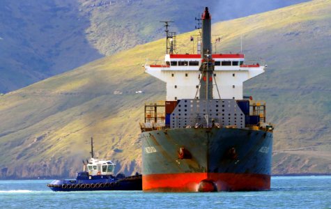 ANL ECHUCA. Container ship photo