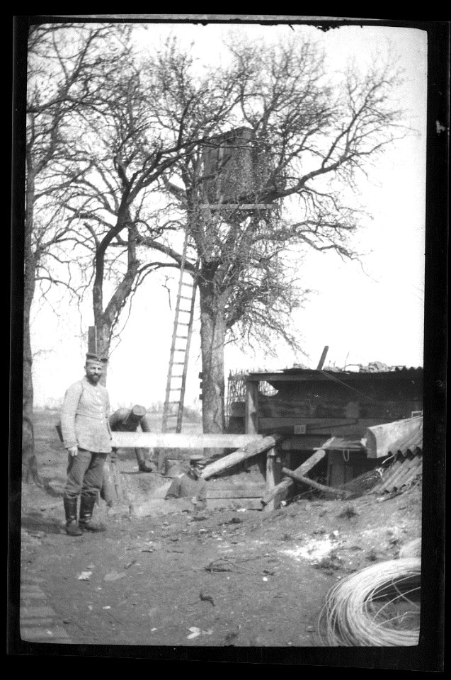 shelter and lookout in a tree