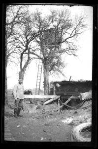shelter and lookout in a tree