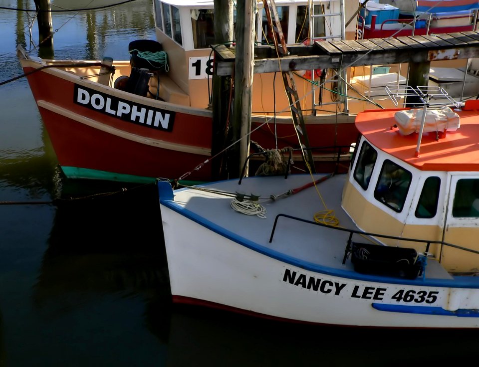 Boats . photo