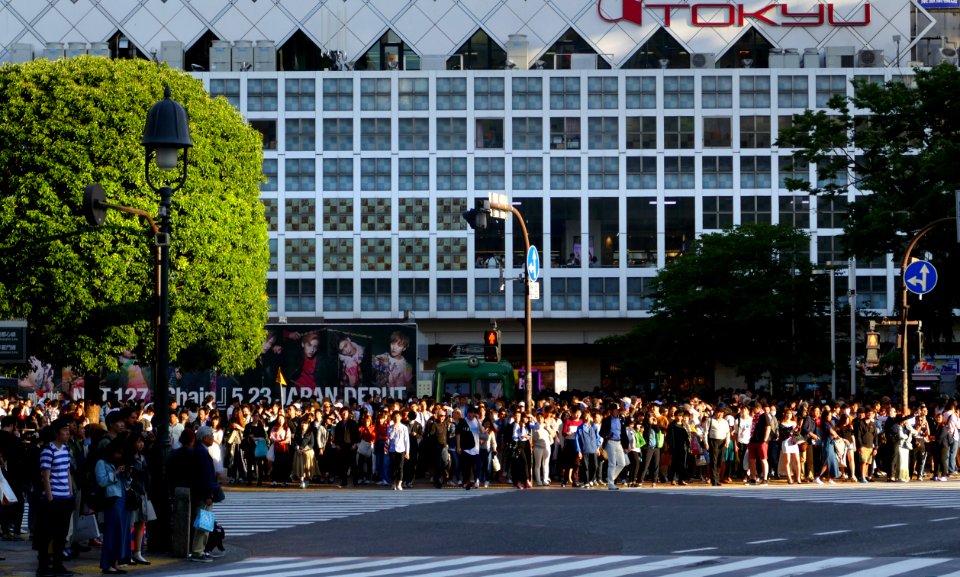 Shibuya Crossing. Tokyo.