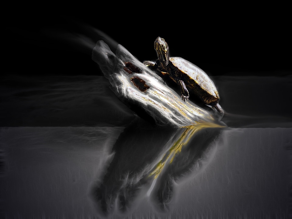 Mirroring colourless water