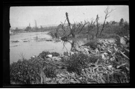 devastated landscape with lake