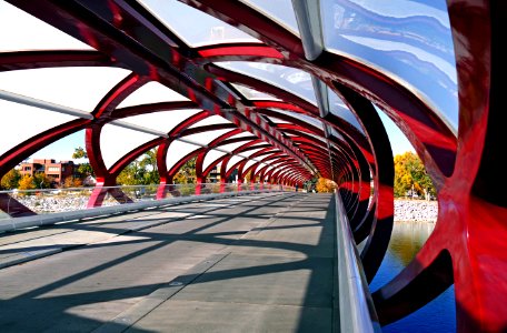 Peace Bridge. Calgary. photo