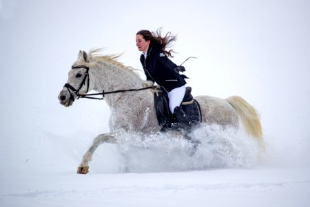 Pege OS200989