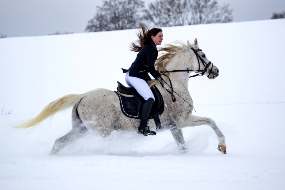 Pege OS200940