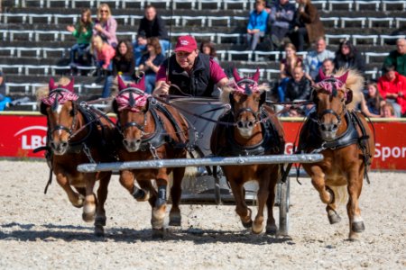 Roemischer 20160846