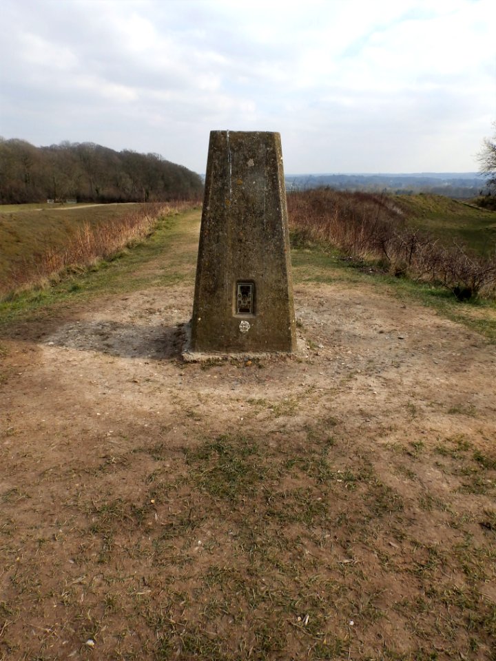 Trig point Badbury Rings