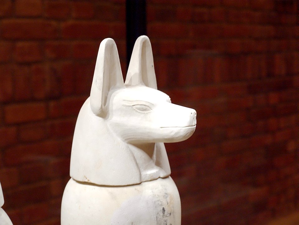 Hund på Neues Museum