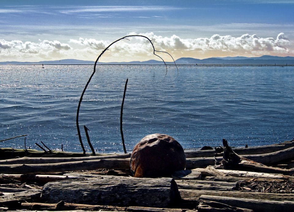 Garry Point Logs with Ball