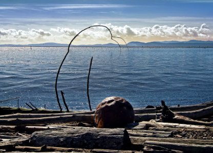 Garry Point Logs with Ball