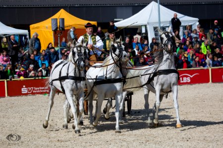 HP150307(c) Oliver-Seitz