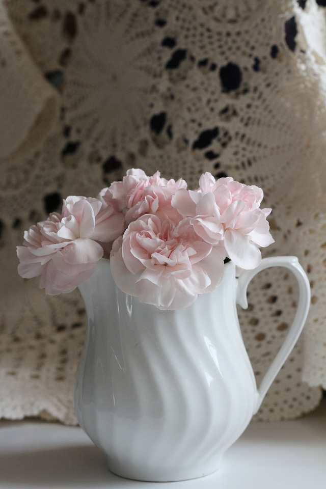 Floral petal fresh